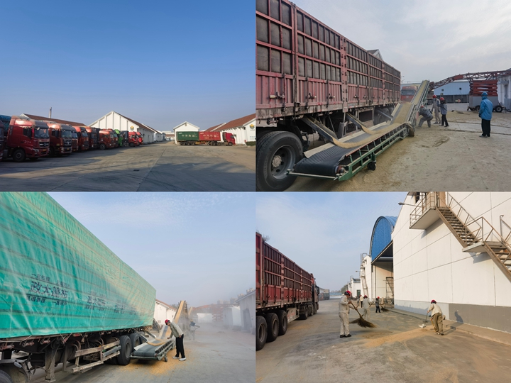 圖二.jpg 圖二.jpg